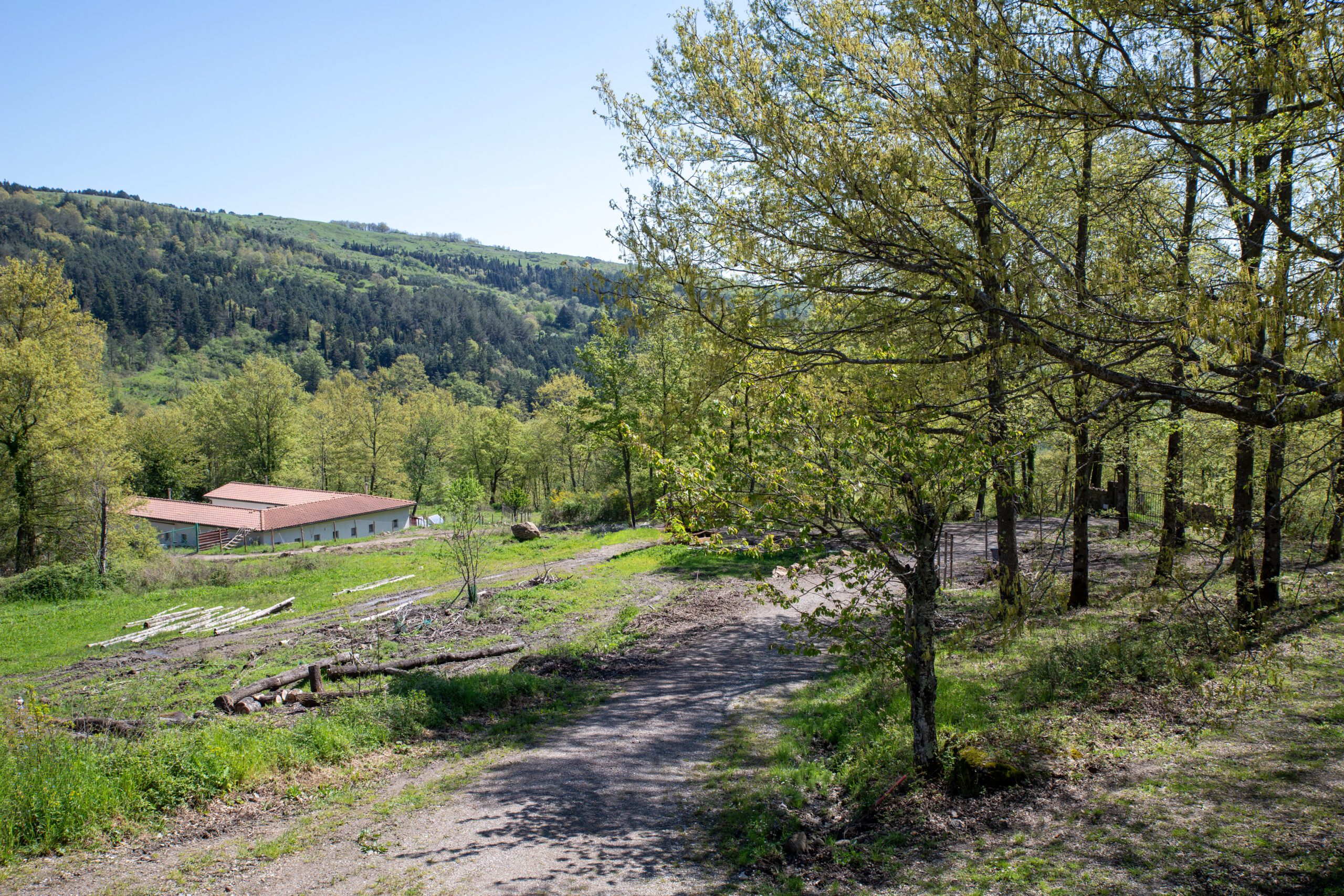 Area camper nel verde