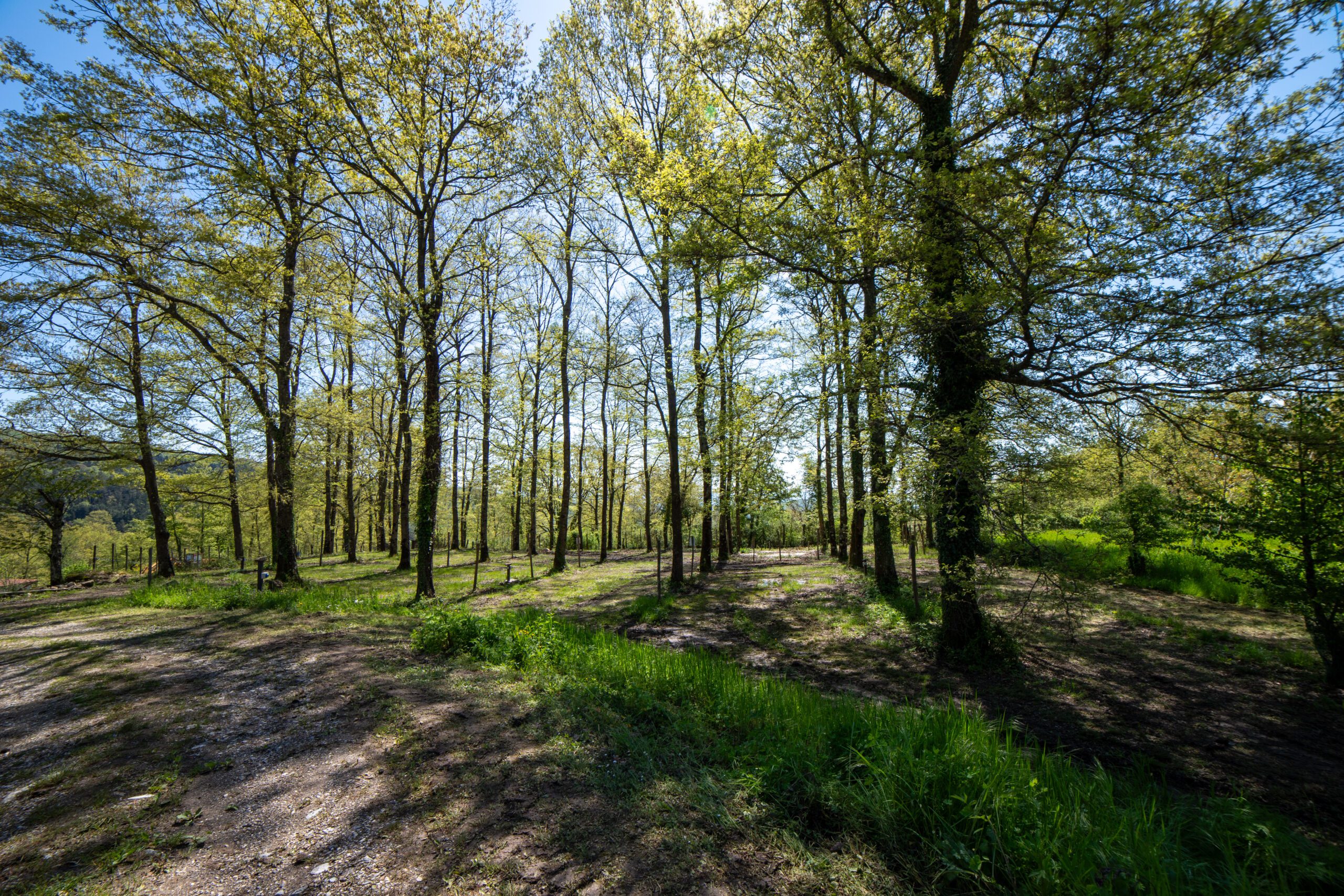 Area agricampeggio